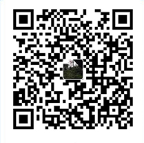 扫码支持